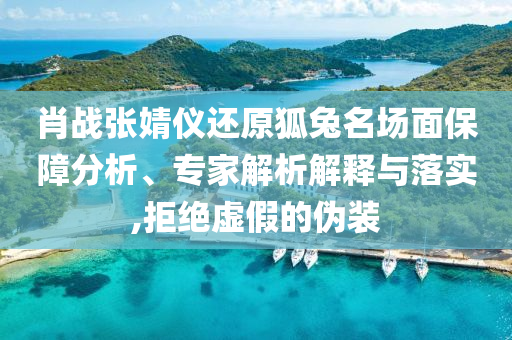 肖戰(zhàn)張婧儀還原狐兔名場(chǎng)面保障分析、專家解析解釋與落實(shí),拒絕虛假的偽裝