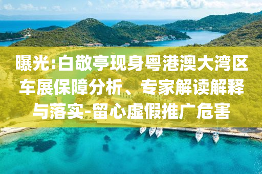 曝光:白敬亭現(xiàn)身粵港澳大灣區(qū)車展保障分析、專家解讀解釋與落實-留心虛假推廣危害