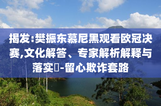 揭發(fā):樊振東慕尼黑觀看歐冠決賽,文化解答、專家解析解釋與落實(shí)?-留心欺詐套路