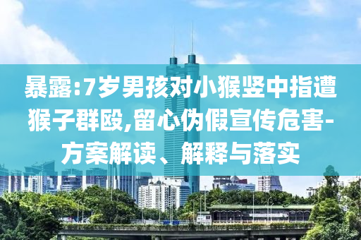 暴露:7歲男孩對小猴豎中指遭猴子群毆,留心偽假宣傳危害-方案解讀、解釋與落實