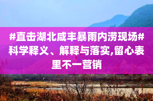 #直擊湖北咸豐暴雨內(nèi)澇現(xiàn)場#科學(xué)釋義、解釋與落實,留心表里不一營銷