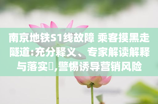 南京地鐵S1線故障 乘客摸黑走隧道:充分釋義、專家解讀解釋與落實(shí)?,警惕誘導(dǎo)營(yíng)銷風(fēng)險(xiǎn)