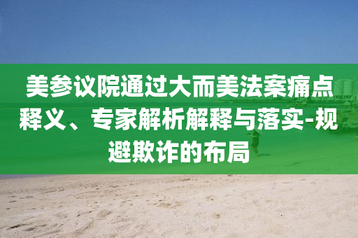 美參議院通過大而美法案痛點(diǎn)釋義、專家解析解釋與落實(shí)-規(guī)避欺詐的布局