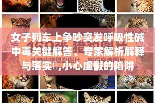 女子列車上爭(zhēng)吵突發(fā)呼吸性堿中毒關(guān)鍵解答、專家解析解釋與落實(shí)?,小心虛假的陷阱