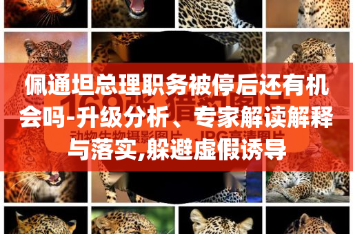 佩通坦總理職務(wù)被停后還有機(jī)會嗎-升級分析、專家解讀解釋與落實,躲避虛假誘導(dǎo)