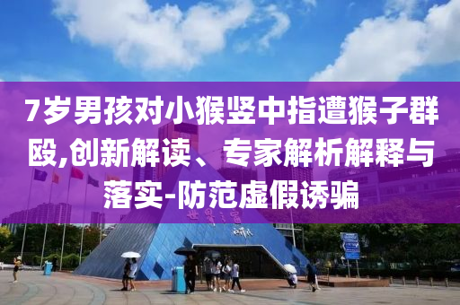 7歲男孩對小猴豎中指遭猴子群毆,創(chuàng)新解讀、專家解析解釋與落實-防范虛假誘騙
