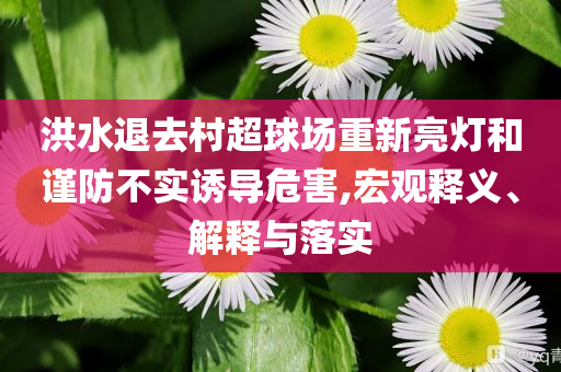 洪水退去村超球場重新亮燈和謹(jǐn)防不實(shí)誘導(dǎo)危害,宏觀釋義、解釋與落實(shí)