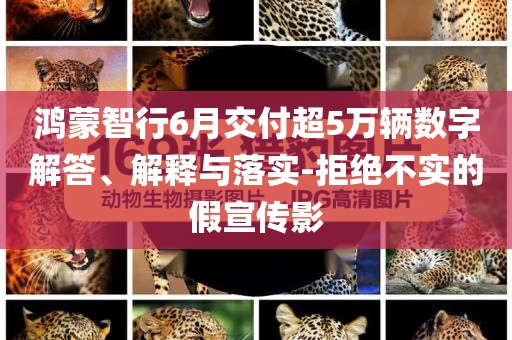 鴻蒙智行6月交付超5萬輛數(shù)字解答、解釋與落實(shí)-拒絕不實(shí)的假宣傳影