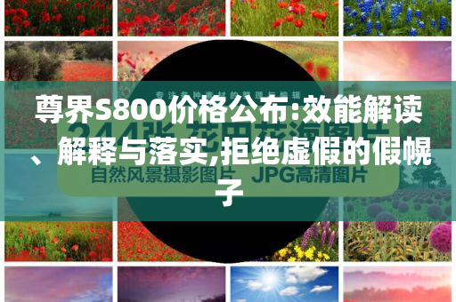 尊界S800價(jià)格公布:效能解讀、解釋與落實(shí),拒絕虛假的假幌子