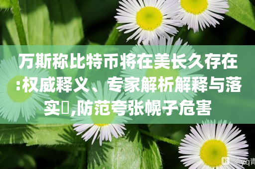 萬斯稱比特幣將在美長久存在:權威釋義、專家解析解釋與落實?,防范夸張幌子危害