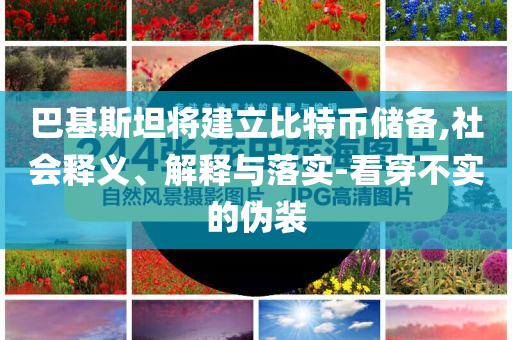 巴基斯坦將建立比特幣儲備,社會釋義、解釋與落實-看穿不實的偽裝