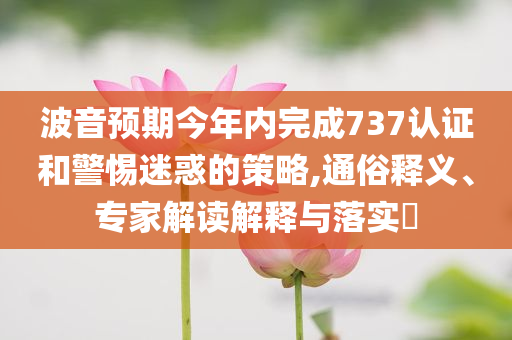 波音預(yù)期今年內(nèi)完成737認(rèn)證和警惕迷惑的策略,通俗釋義、專家解讀解釋與落實?