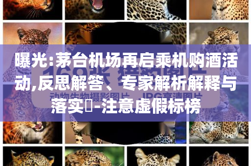 曝光:茅臺機場再啟乘機購酒活動,反思解答、專家解析解釋與落實?-注意虛假標榜