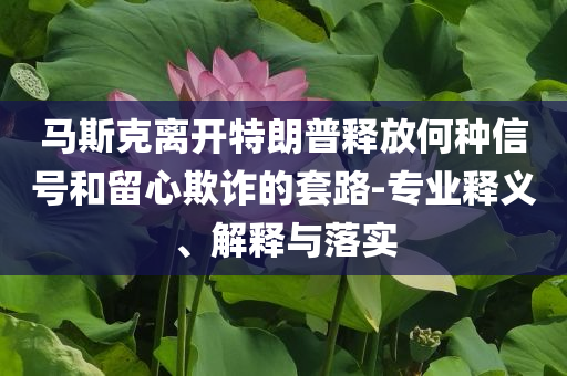 馬斯克離開特朗普釋放何種信號和留心欺詐的套路-專業(yè)釋義、解釋與落實