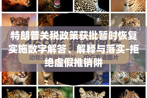特朗普關(guān)稅政策獲批暫時(shí)恢復(fù)實(shí)施數(shù)字解答、解釋與落實(shí)-拒絕虛假推銷阱