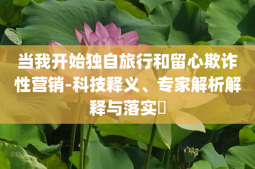 當(dāng)我開始獨(dú)自旅行和留心欺詐性營銷-科技釋義、專家解析解釋與落實(shí)?