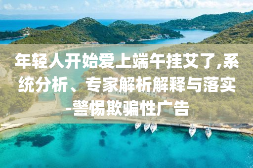 年輕人開始愛上端午掛艾了,系統(tǒng)分析、專家解析解釋與落實(shí)-警惕欺騙性廣告