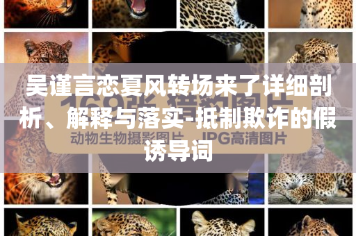 吳謹言戀夏風轉場來了詳細剖析、解釋與落實-抵制欺詐的假誘導詞
