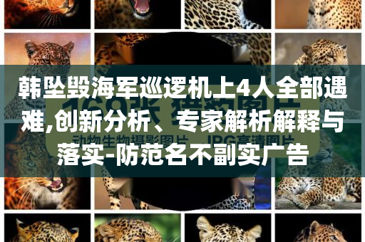 韓墜毀海軍巡邏機上4人全部遇難,創(chuàng)新分析、專家解析解釋與落實-防范名不副實廣告