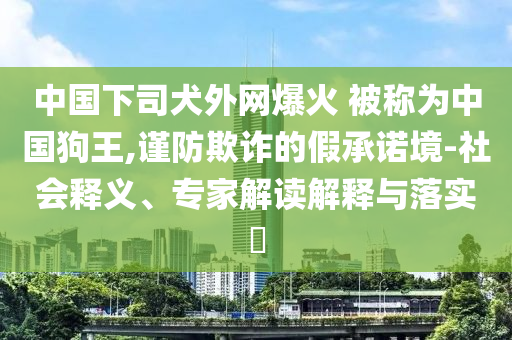 中國下司犬外網(wǎng)爆火 被稱為中國狗王,謹(jǐn)防欺詐的假承諾境-社會(huì)釋義、專家解讀解釋與落實(shí)?