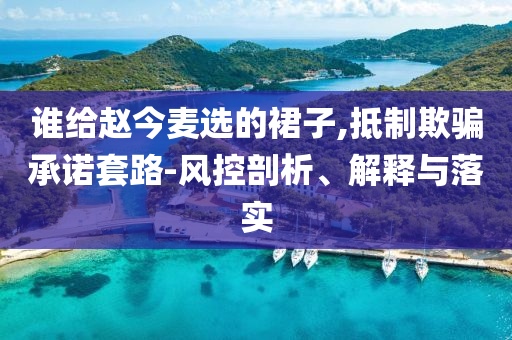 誰給趙今麥選的裙子,抵制欺騙承諾套路-風(fēng)控剖析、解釋與落實