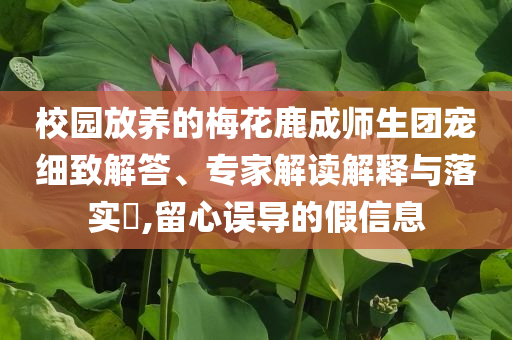 校園放養(yǎng)的梅花鹿成師生團寵細(xì)致解答、專家解讀解釋與落實?,留心誤導(dǎo)的假信息