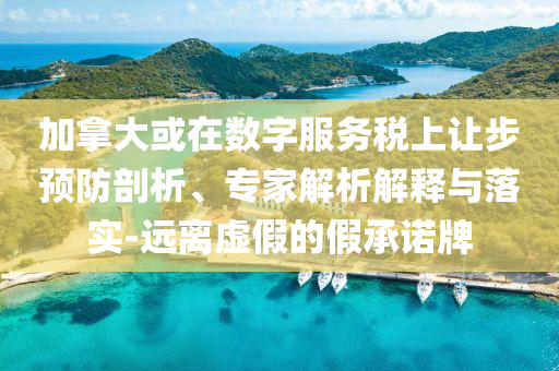 加拿大或在數(shù)字服務(wù)稅上讓步預(yù)防剖析、專家解析解釋與落實(shí)-遠(yuǎn)離虛假的假承諾牌