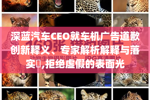 深藍(lán)汽車CEO就車機(jī)廣告道歉創(chuàng)新釋義、專家解析解釋與落實(shí)?,拒絕虛假的表面光