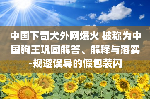 中國下司犬外網(wǎng)爆火 被稱為中國狗王鞏固解答、解釋與落實-規(guī)避誤導的假包裝閃
