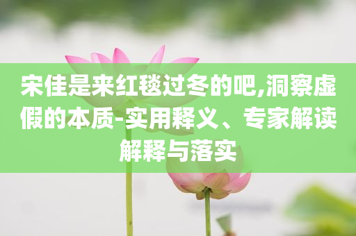 宋佳是來紅毯過冬的吧,洞察虛假的本質(zhì)-實(shí)用釋義、專家解讀解釋與落實(shí)