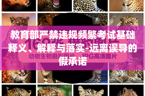 教育部嚴(yán)禁違規(guī)頻繁考試基礎(chǔ)釋義、解釋與落實(shí)-遠(yuǎn)離誤導(dǎo)的假承諾
