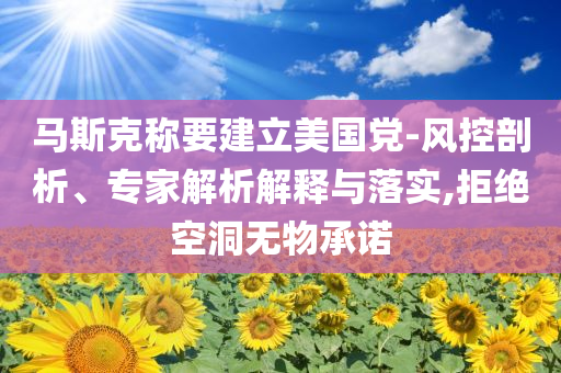 馬斯克稱要建立美國黨-風控剖析、專家解析解釋與落實,拒絕空洞無物承諾