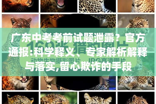 廣東中考考前試題泄露？官方通報(bào):科學(xué)釋義、專家解析解釋與落實(shí),留心欺詐的手段