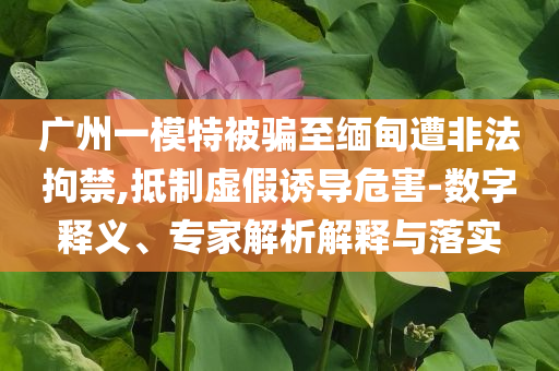 廣州一模特被騙至緬甸遭非法拘禁,抵制虛假誘導危害-數(shù)字釋義、專家解析解釋與落實