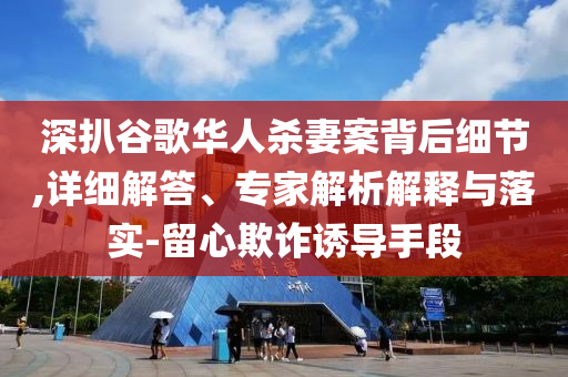 深扒谷歌華人殺妻案背后細(xì)節(jié),詳細(xì)解答、專家解析解釋與落實(shí)-留心欺詐誘導(dǎo)手段