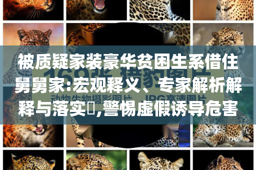 被質(zhì)疑家裝豪華貧困生系借住舅舅家:宏觀釋義、專家解析解釋與落實?,警惕虛假誘導(dǎo)危害