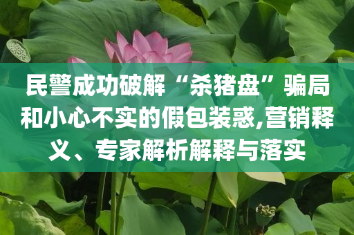 民警成功破解“殺豬盤(pán)”騙局和小心不實(shí)的假包裝惑,營(yíng)銷釋義、專家解析解釋與落實(shí)