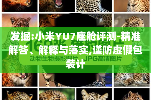 發(fā)掘:小米YU7座艙評(píng)測(cè)-精準(zhǔn)解答、解釋與落實(shí),謹(jǐn)防虛假包裝計(jì)