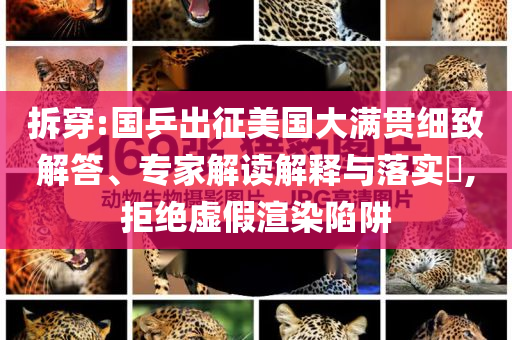 拆穿:國乒出征美國大滿貫細致解答、專家解讀解釋與落實?,拒絕虛假渲染陷阱