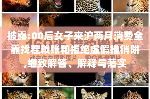 披露:00后女子來(lái)滬兩月消費(fèi)全靠找茬賴賬和拒絕虛假推銷阱,細(xì)致解答、解釋與落實(shí)