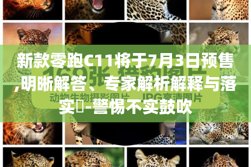 新款零跑C11將于7月3日預(yù)售,明晰解答、專家解析解釋與落實(shí)?-警惕不實(shí)鼓吹