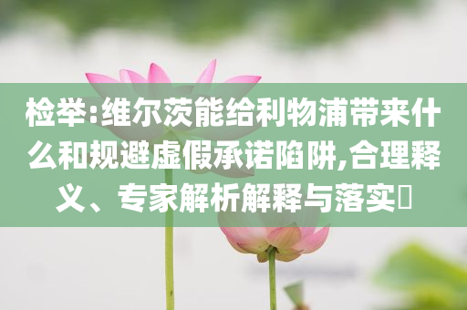 檢舉:維爾茨能給利物浦帶來什么和規(guī)避虛假承諾陷阱,合理釋義、專家解析解釋與落實(shí)?