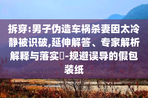 拆穿:男子偽造車禍殺妻因太冷靜被識破,延伸解答、專家解析解釋與落實?-規(guī)避誤導的假包裝紙