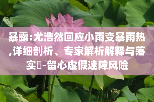 暴露:尤浩然回應(yīng)小雨變暴雨熱,詳細(xì)剖析、專(zhuān)家解析解釋與落實(shí)?-留心虛假迷障風(fēng)險(xiǎn)