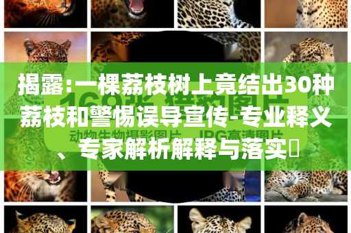 揭露:一棵荔枝樹上竟結(jié)出30種荔枝和警惕誤導(dǎo)宣傳-專業(yè)釋義、專家解析解釋與落實(shí)?