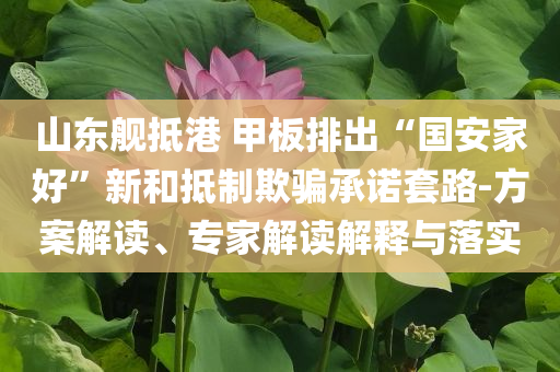 山東艦抵港 甲板排出“國(guó)安家好”新和抵制欺騙承諾套路-方案解讀、專家解讀解釋與落實(shí)