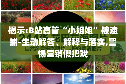 揭示:B站高管“小姐姐”被逮捕-生動(dòng)解答、解釋與落實(shí),警惕營(yíng)銷假把戲