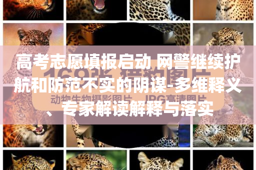 高考志愿填報(bào)啟動(dòng) 網(wǎng)警繼續(xù)護(hù)航和防范不實(shí)的陰謀-多維釋義、專家解讀解釋與落實(shí)
