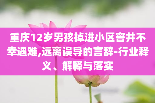 重慶12歲男孩掉進小區(qū)窨井不幸遇難,遠離誤導(dǎo)的言辭-行業(yè)釋義、解釋與落實