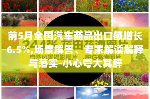 前5月全國汽車商品出口額增長6.5%,場景解答、專家解讀解釋與落實(shí)-小心夸大其辭